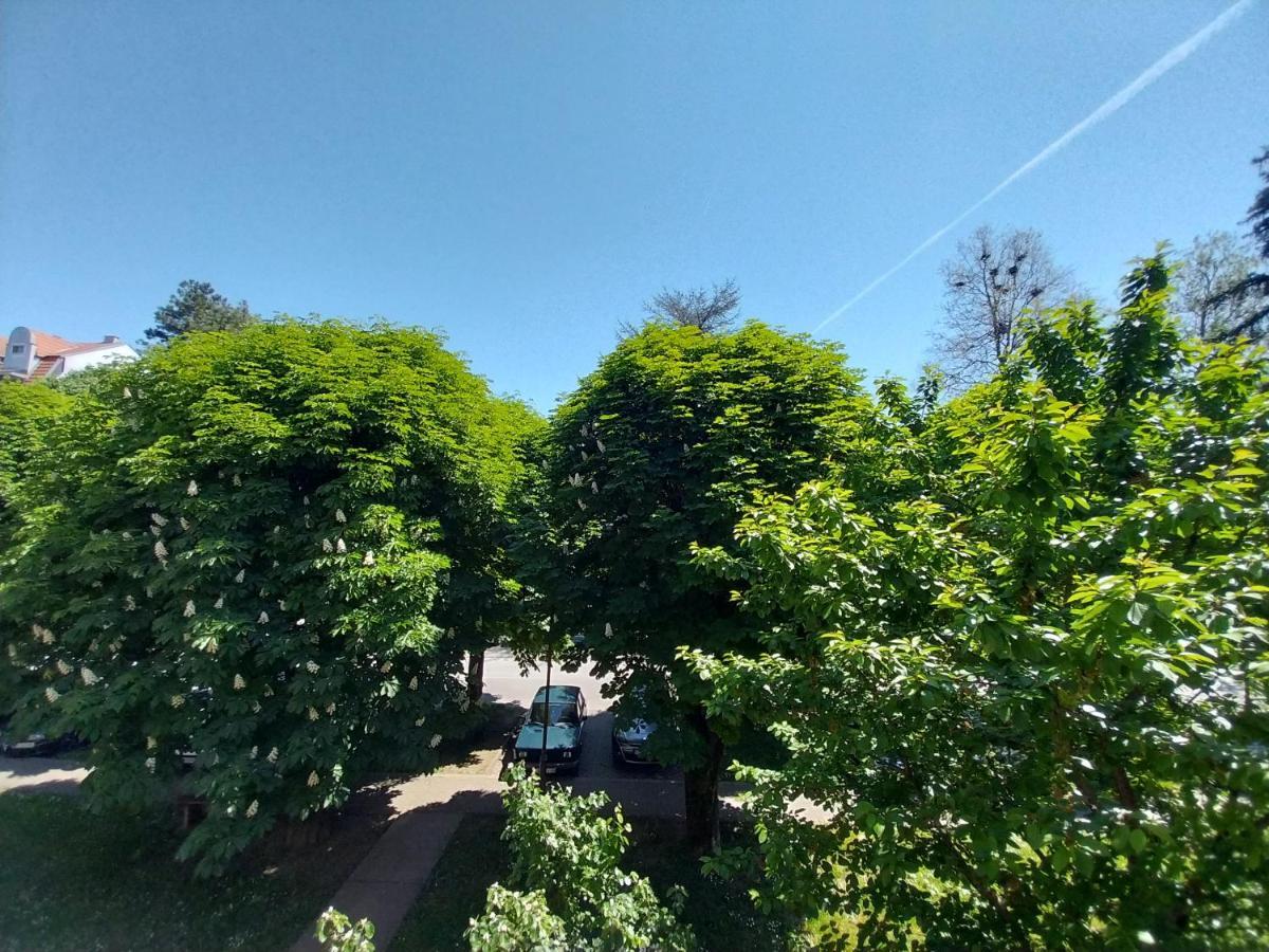 Apartmani Sofronic Loznica 1 Buitenkant foto
